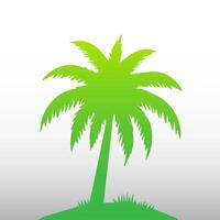Green palm tree isolated on white background. Palm silhouette vector