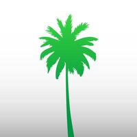 Green palm tree isolated on white background. Palm silhouette vector