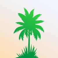 Green palm tree isolated on white background. Palm silhouette vector