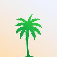 Green palm tree isolated on white background. Palm silhouette vector