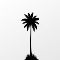 Black palm tree isolated on white background. Palm silhouette vector