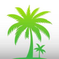 Green palm tree isolated on white background. Palm silhouette vector
