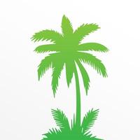 Green palm tree isolated on white background. Palm silhouette vector