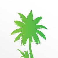 Green palm tree isolated on white background. Palm silhouette vector