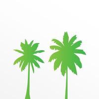Green palm tree isolated on white background. Palm silhouette vector