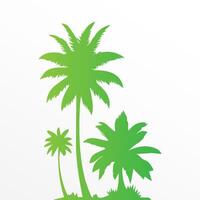 Green palm tree isolated on white background. Palm silhouette vector