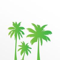 Green palm tree isolated on white background. Palm silhouette vector