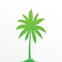 Green palm tree isolated on white background. Palm silhouette vector