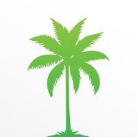 Green palm tree isolated on white background. Palm silhouette vector