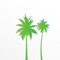 Green palm tree isolated on white background. Palm silhouette vector