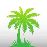 Green palm tree isolated on white background. Palm silhouette vector