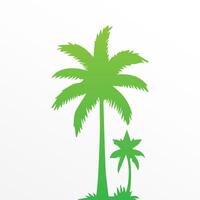 Green palm tree isolated on white background. Palm silhouette vector