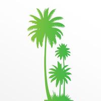 Green palm tree isolated on white background. Palm silhouette vector
