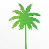 Green palm tree isolated on white background. Palm silhouette vector
