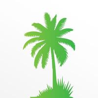 Green palm tree isolated on white background. Palm silhouette vector