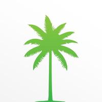 Green palm tree isolated on white background. Palm silhouette vector