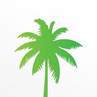 Green palm tree isolated on white background. Palm silhouette vector