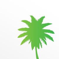 Green palm tree isolated on white background. Palm silhouette vector