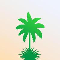 Green palm tree isolated on white background. Palm silhouette vector