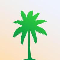 Green palm tree isolated on white background. Palm silhouette vector