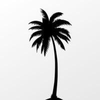 Black palm tree isolated on white background. Palm silhouette vector