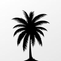 Black palm tree isolated on white background. Palm silhouette vector