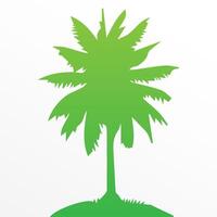 Green palm tree isolated on white background. Palm silhouette vector