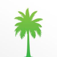 Green palm tree isolated on white background. Palm silhouette vector