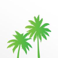 Green palm tree isolated on white background. Palm silhouette vector