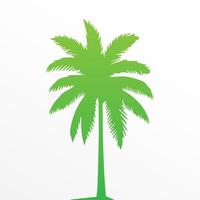 Green palm tree isolated on white background. Palm silhouette vector