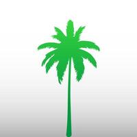 Green palm tree isolated on white background. Palm silhouette vector
