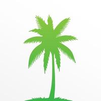 Green palm tree isolated on white background. Palm silhouette vector