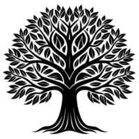 illustration of oak tree, banyan tree, maple tree, suatable for logo and etc vector