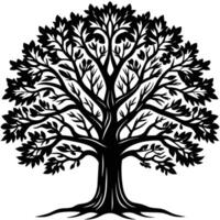 illustration of oak tree, banyan tree, maple tree, suatable for logo and etc vector