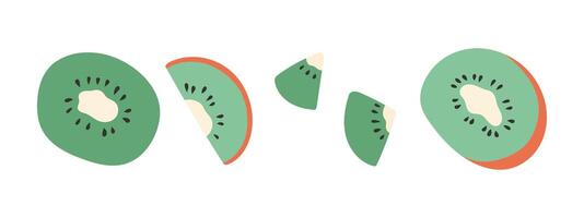 Set of abstract kiwi. Simple kiwi. Tropical fruit collection design for interior, poster, banner. vector