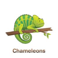 a green chameleon on a branch with a white background vector