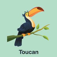 a toucan bird with a green background vector