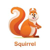 Cute red squirrel with acorn icon . Squirrel icon isolated on a white background. vector