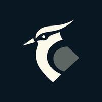A sleek and modern logo design featuring a stylized lapwing bird head, rendered in a flat minimal style. Bird Head Logo Design. Bird Face Logo. Bird Head Logo. Logo Design. vector