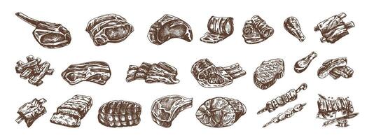 Set of hand-drawn sketches of different types of meat, steaks, chicken, kebabs, bacon, tenderloin, pork, beef, ham, barbecue. Vintage illustration on white background. vector
