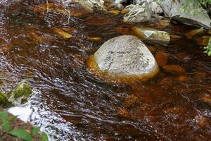 View of the Falls of Bruar near Pitlochry in Perthshire Scotland on a spring day photo