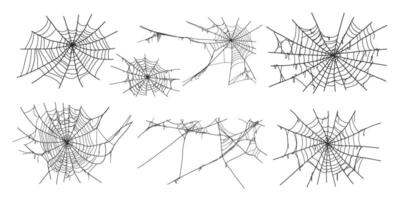 Spooky halloween old spider web with various sizes and shapes. Old cobweb set illustration. vector