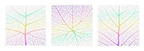 Leaf vein texture abstract background with close up plant leaf cells ornament texture pattern. vector