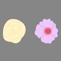 flowers of various shapes and colors vector