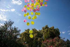 Balloons soar into the sky, released in a picturesque field. photo