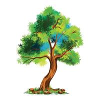 An isolated tree on white background vector
