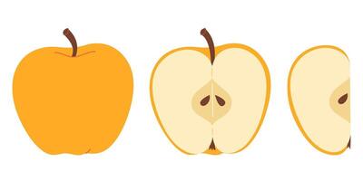 Yellow juicy apple hand drawn set. Whole, half, slice of fresh yellow apple fruit. Collection of whole apples and sliced apples. Flat style isolated on transparent background illustration vector
