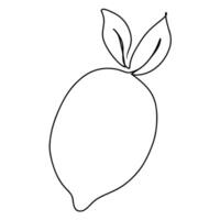 Continuous one line drawing of lemon with leaves. Doodle illustration vector