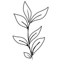 Continuous one line drawing of leaf branch. Doodle illustration vector