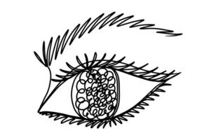 Continuous line art female eye isolated on transparent background. illustration element. vector